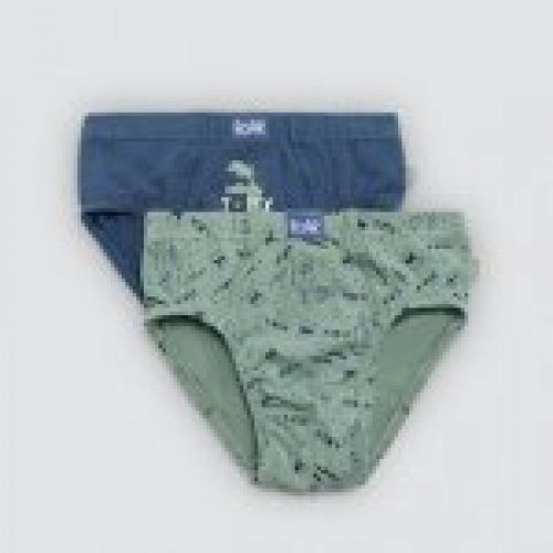 18450 Pack de 2 calzoncillos estampados de algodón natural para niño.