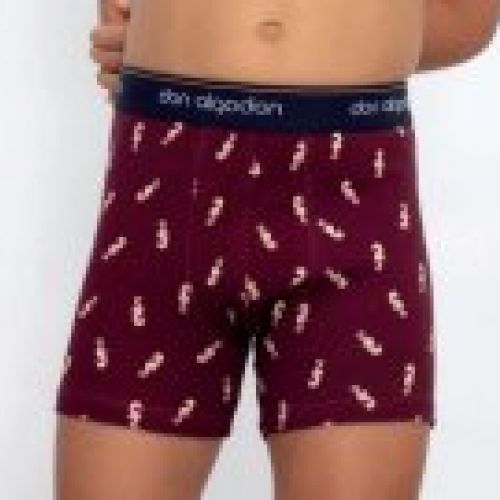 pb80 boxer niño don algoson