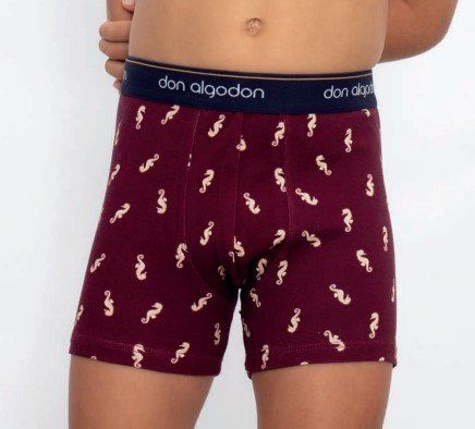 pb80 boxer niño don algoson
