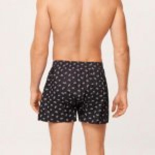 20323 YSABEL MORA BOXER