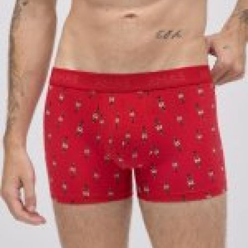 20433 Pack de un calzoncillo bóxer y un par de calcetines con estampado navideño de algodón natural YSABEL MORA