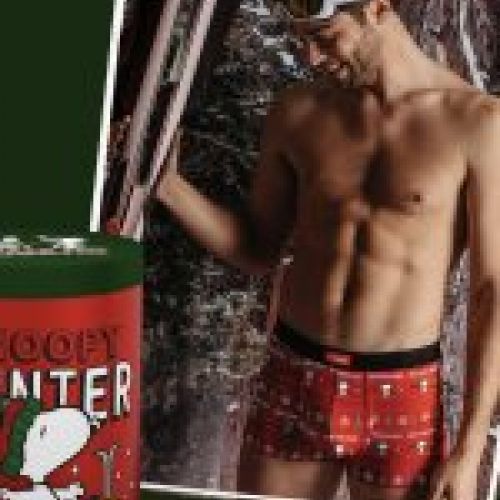 48528 BOXER EXPOSITOR SNOOPY ADMAS