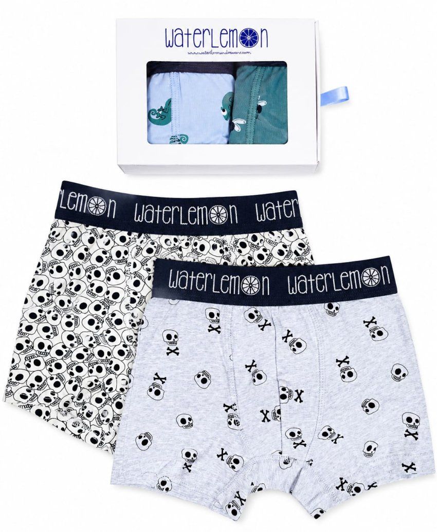 301 boxer infantil al por mayor Waterlemon