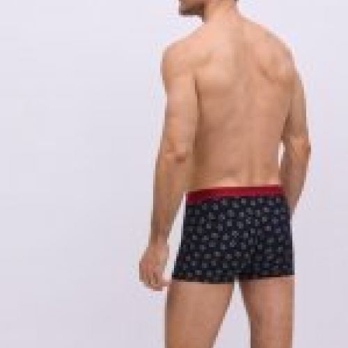 20390 BOXER YSABEL MORA AL POR MAYOR