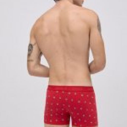 20433 Pack de un calzoncillo bóxer y un par de calcetines con estampado navideño de algodón natural