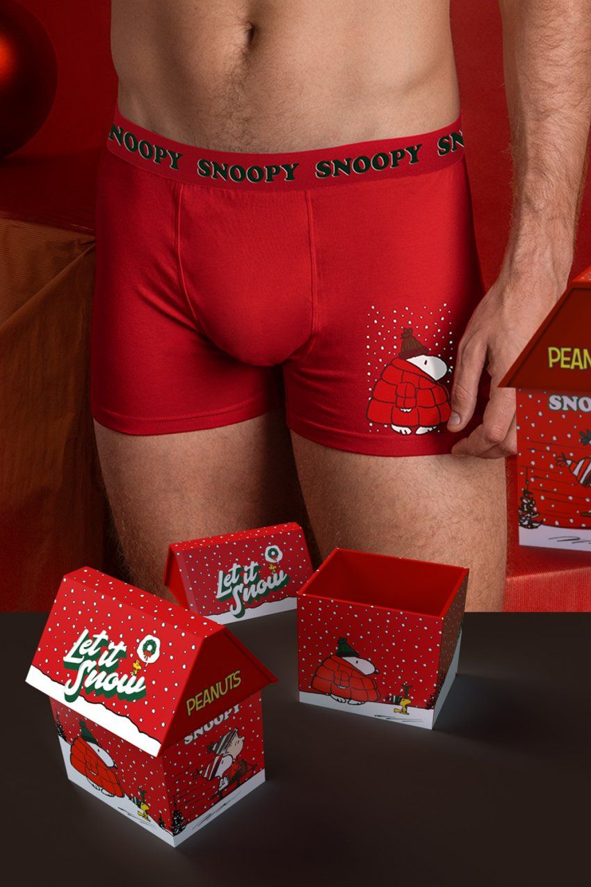 48617 BOXER ROJO SNOOPY CON CASITA METAL ADMAS