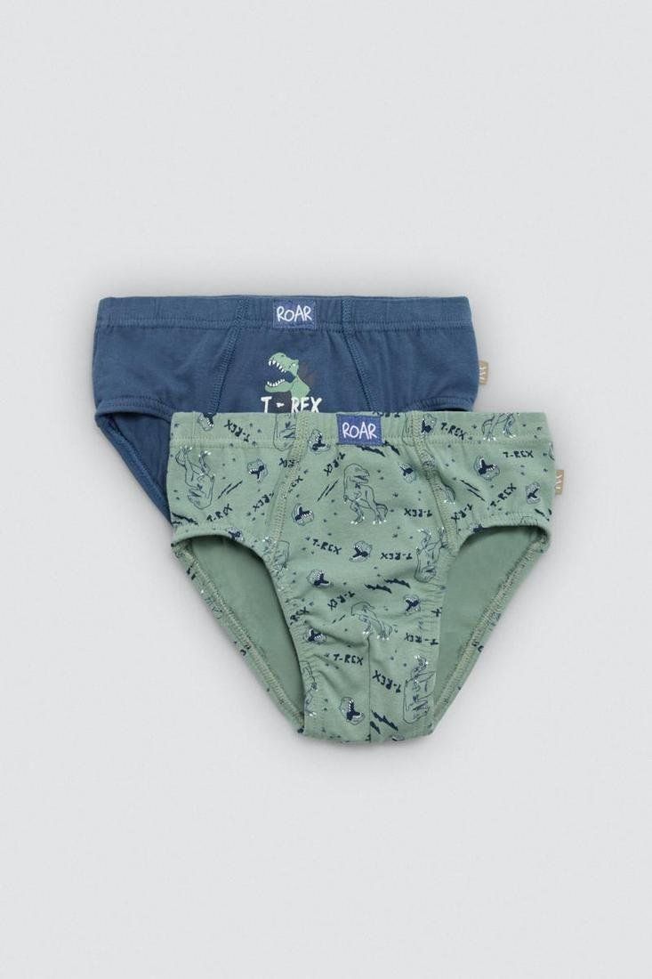 18450 Pack de 2 calzoncillos estampados de algodón natural para niño.