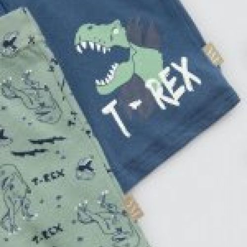18452Pack de 2 calzoncillos bóxer estampados de algodón natural para niño.