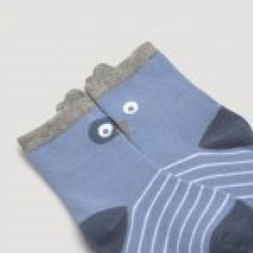 52249