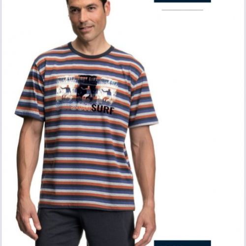 7630 PIJAMA CABALLERO ALGODON PRIMAVERA ASSMAN