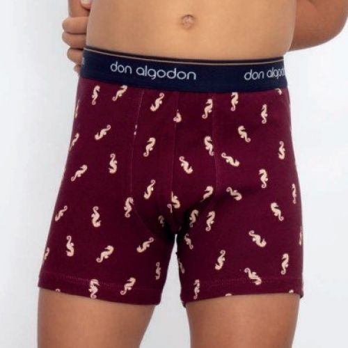pb80 boxer niño don algoson